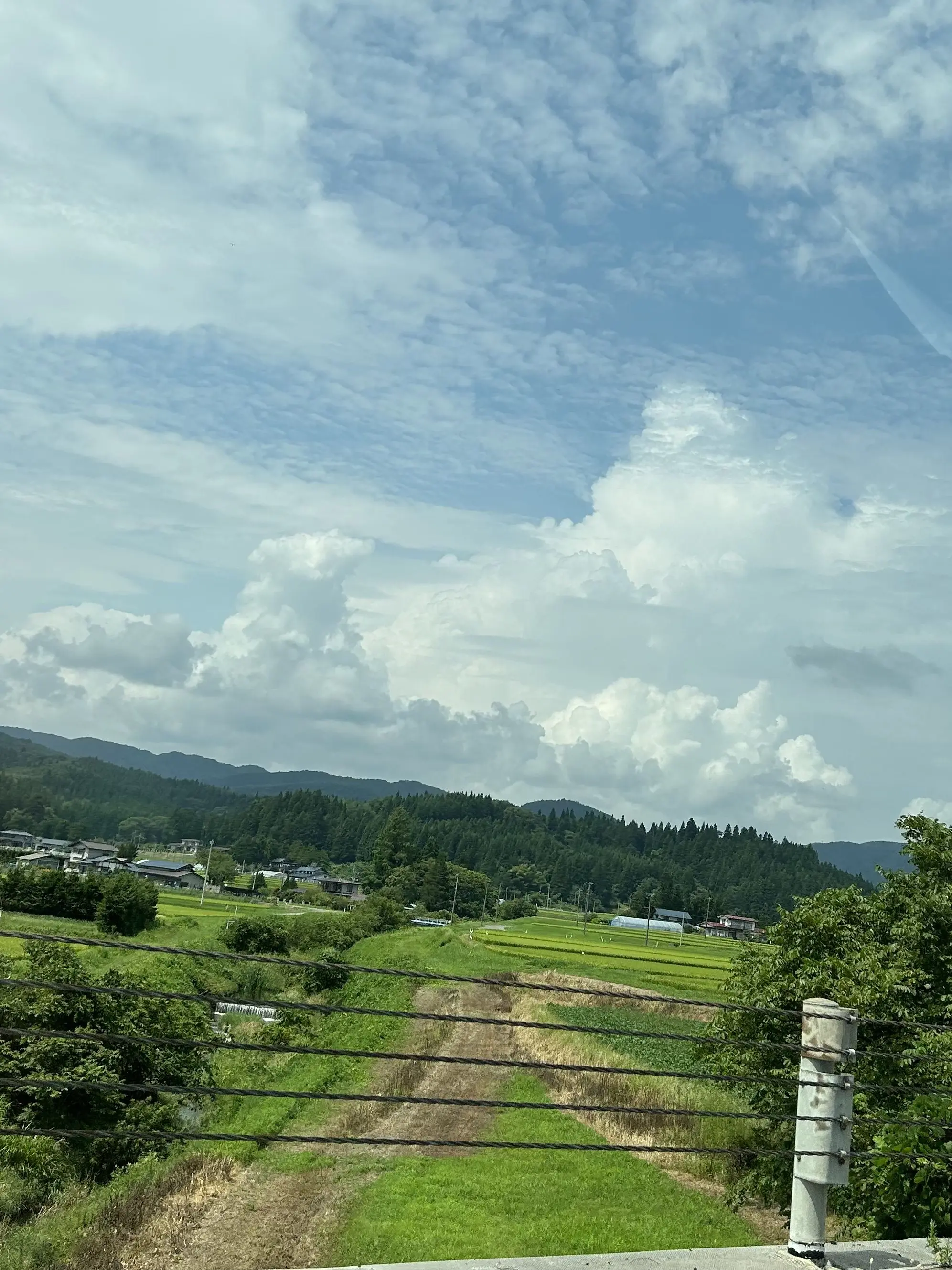 QuietGrill8352의 お・ま・ま・ご・と♡