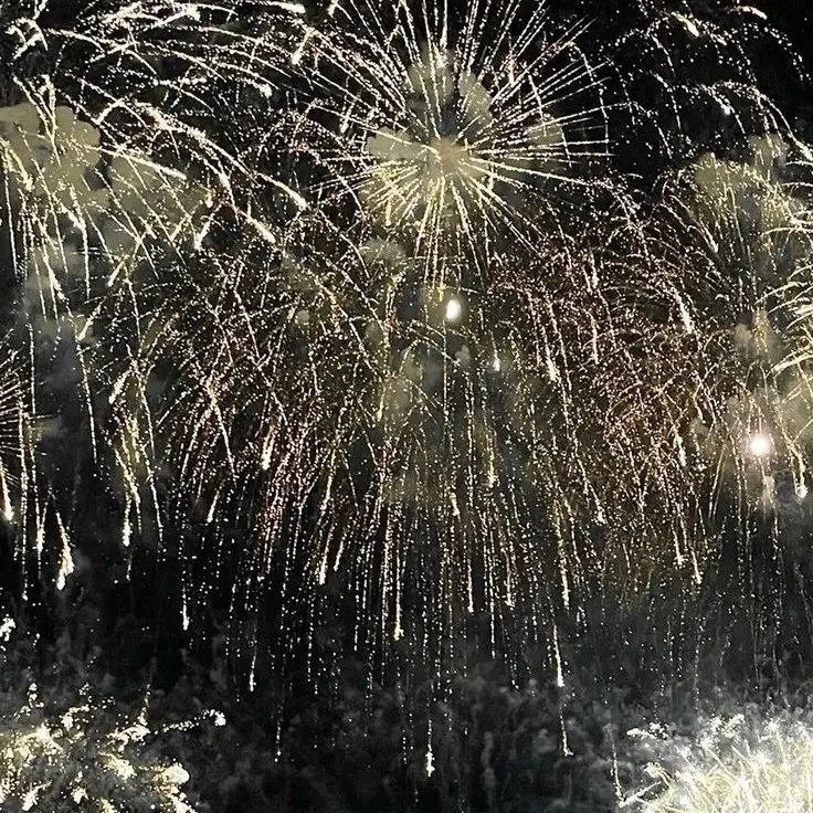 Uouns의 1005