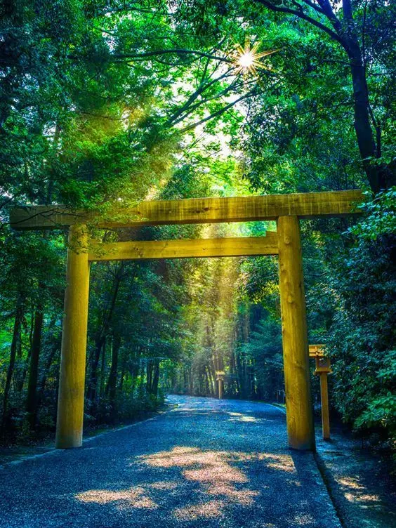 haru_k1326의 良い神様と悪い神様