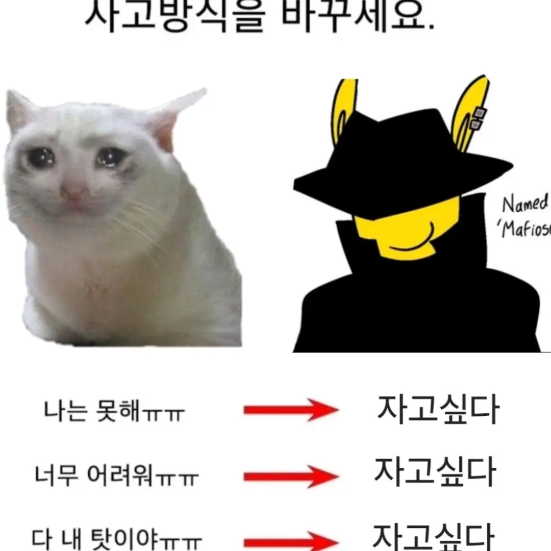 tetoloveyou의 짭피오소