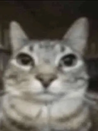 95yearold-KimChunbae의 내 동거인이 수인이였던 것에 대하여