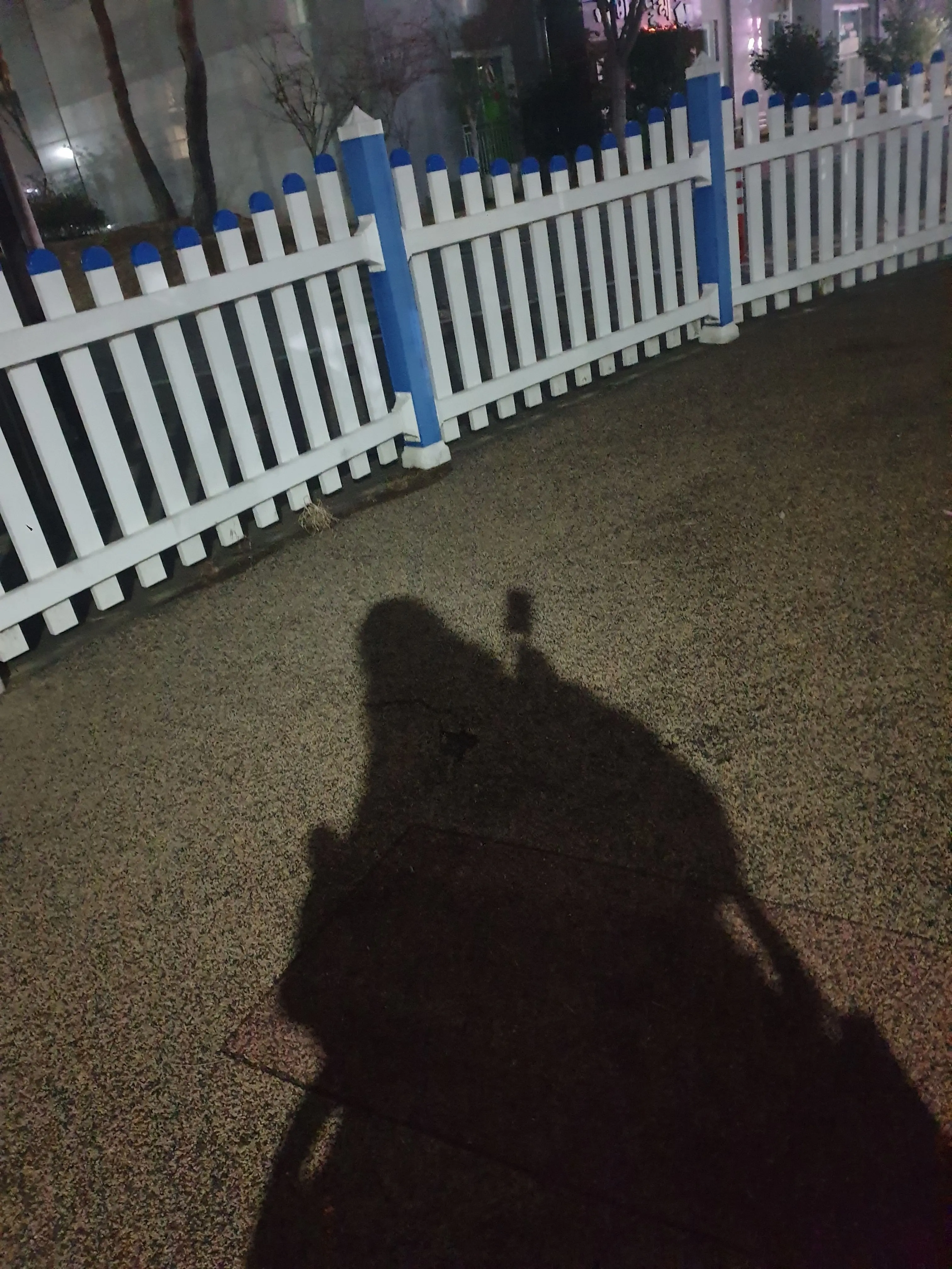 dayeon1205의 수술하러 왔다가, 조지게 생겼다.