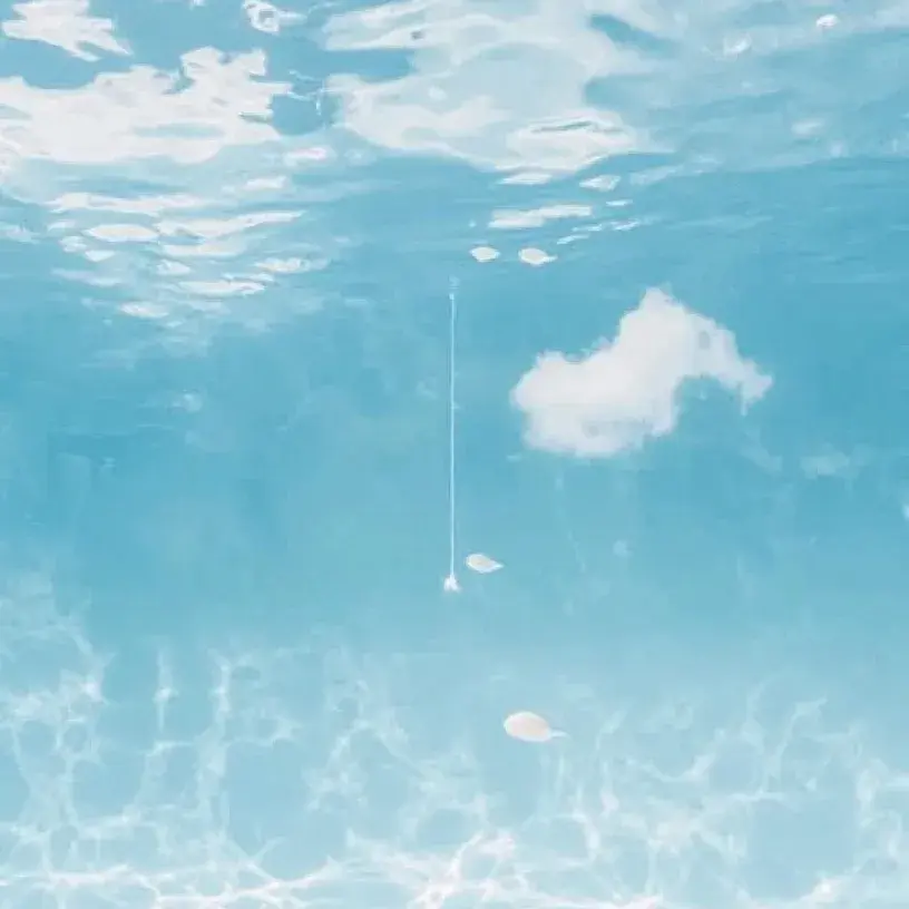 SpikyGirl7490의 子作りしないと出られない部屋？！？！