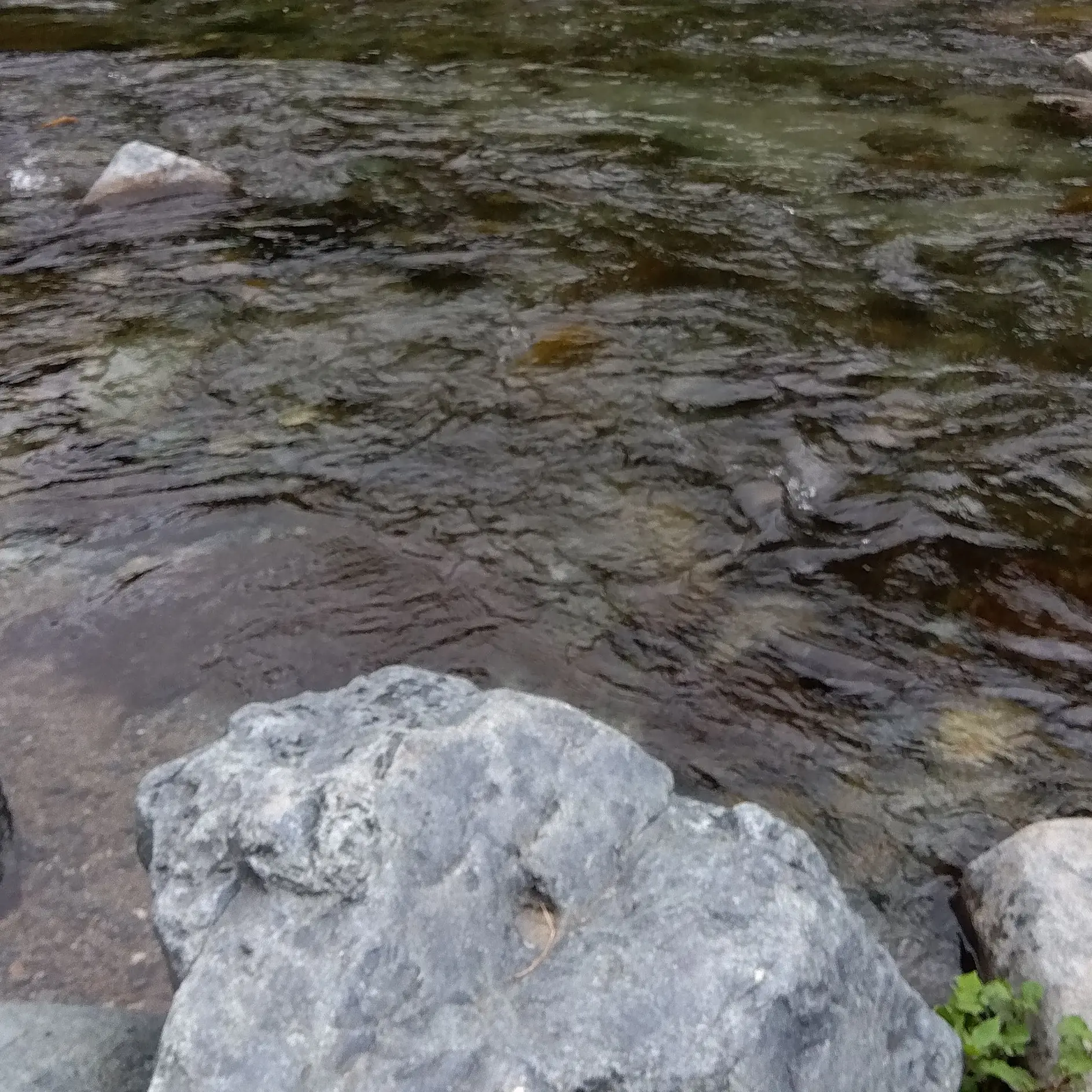 SalmonPin6031의 謎解きのエンタメ役！わちさん！