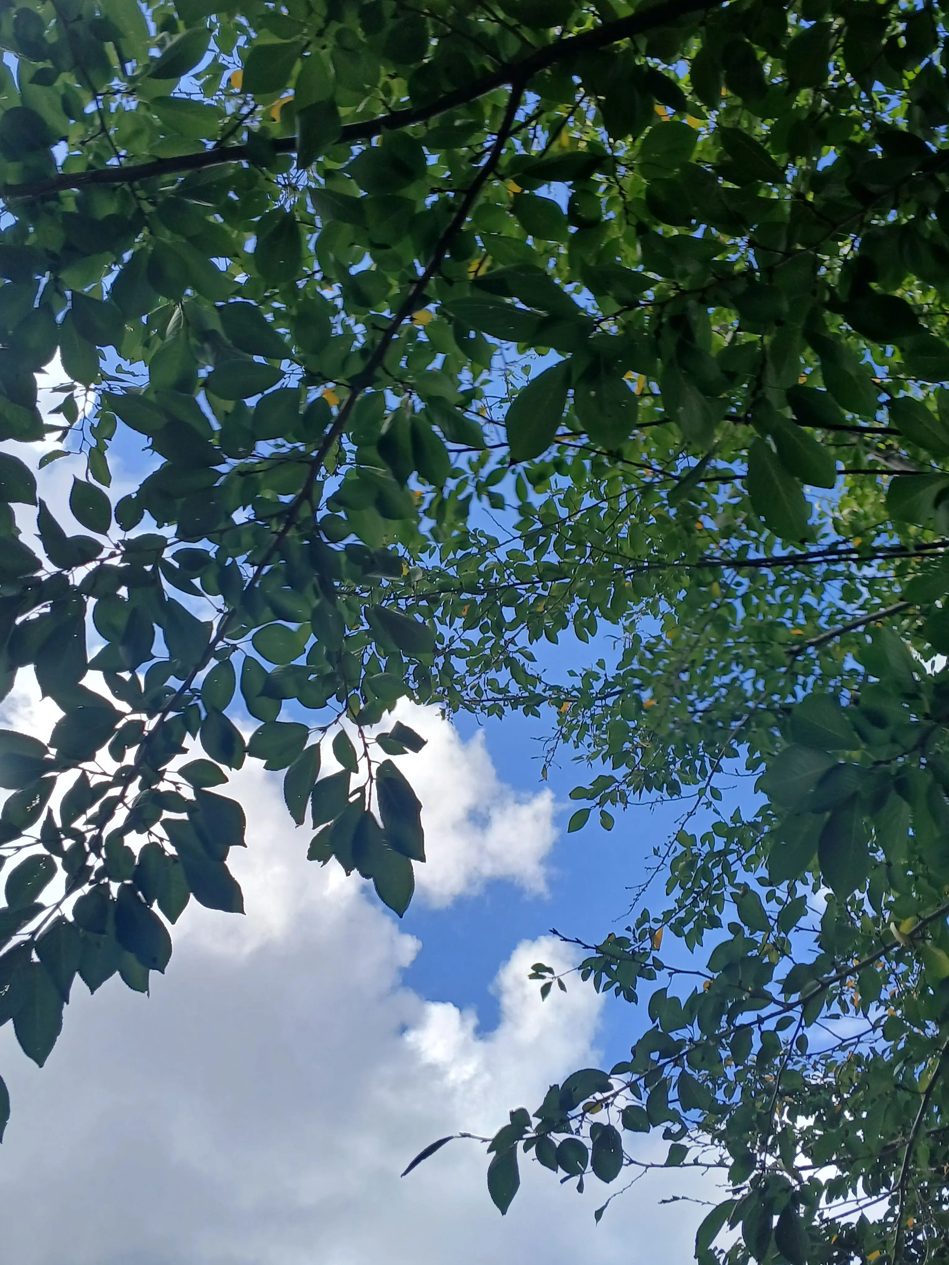 chdjzjbx의 연하 남친 우유참치-팀나빠