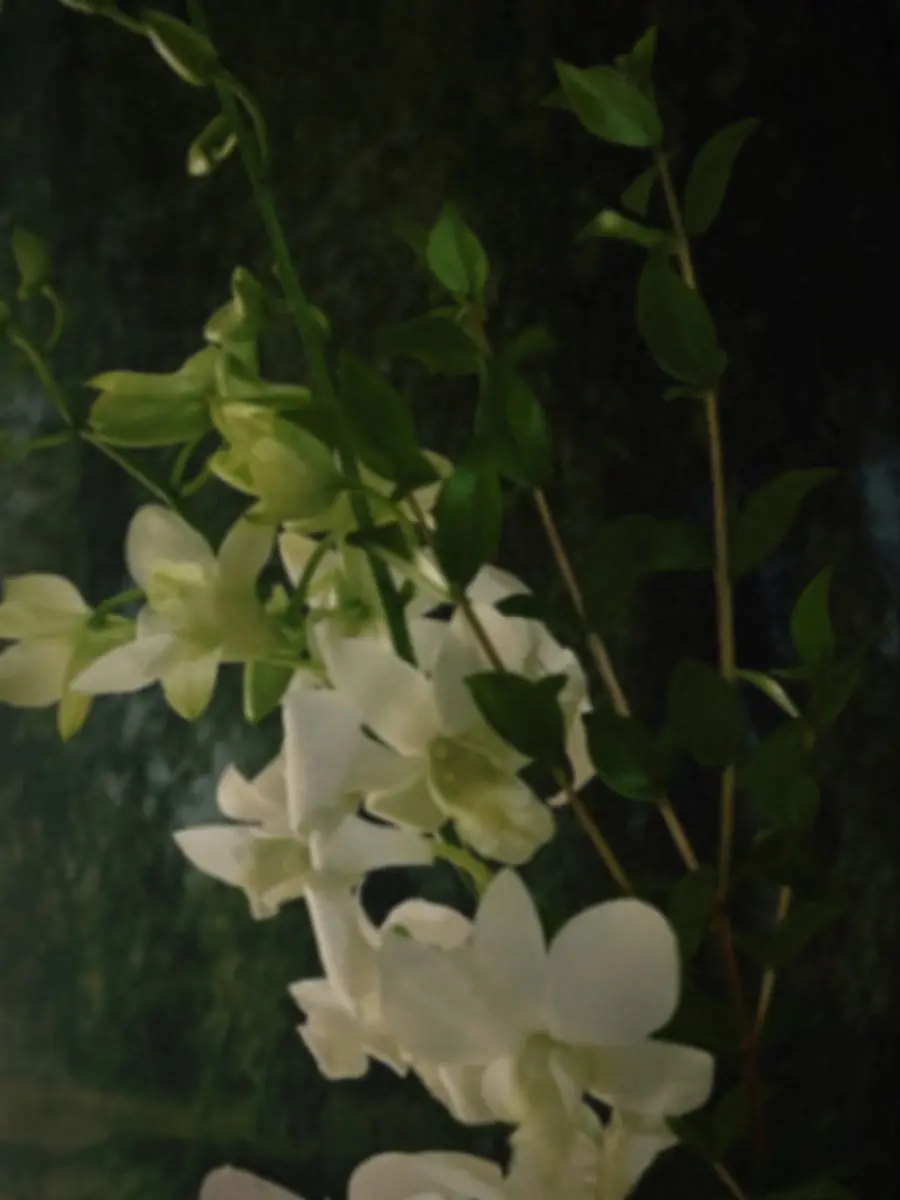 Blanked.love의 9011