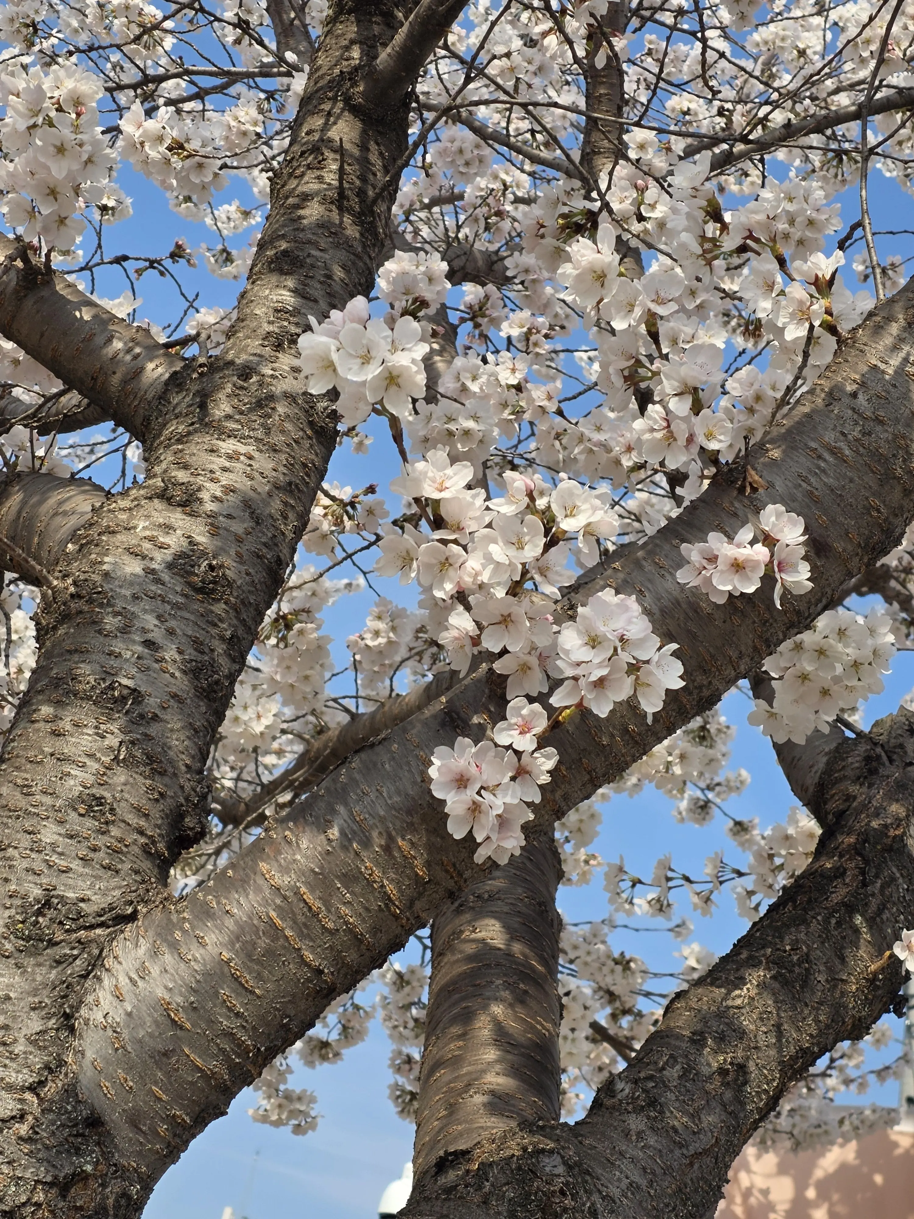 MayDAY-LoveDAY의 Weak Hero.