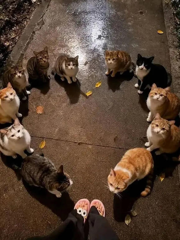 ghostnova의 friend group chat