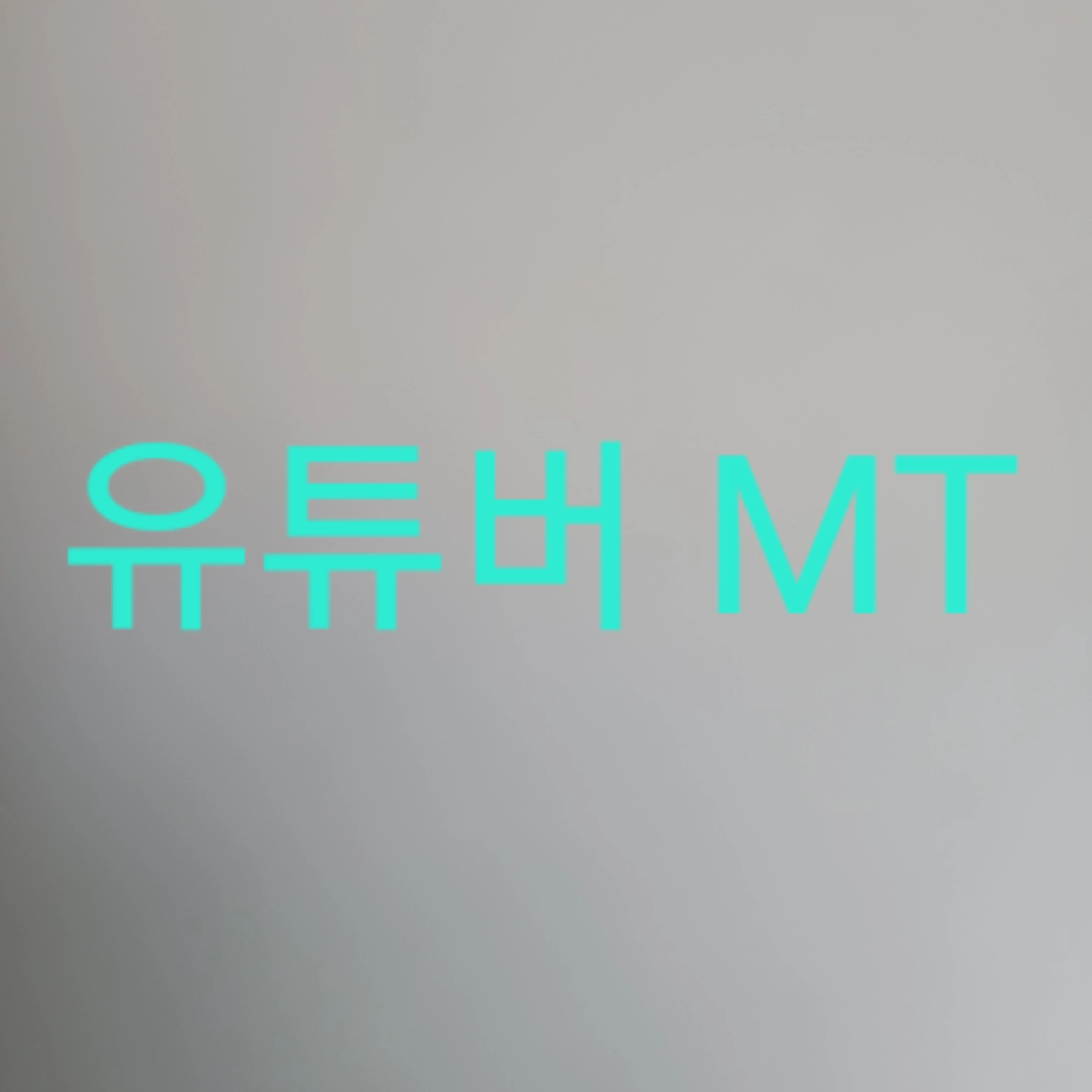 유튜버 MT