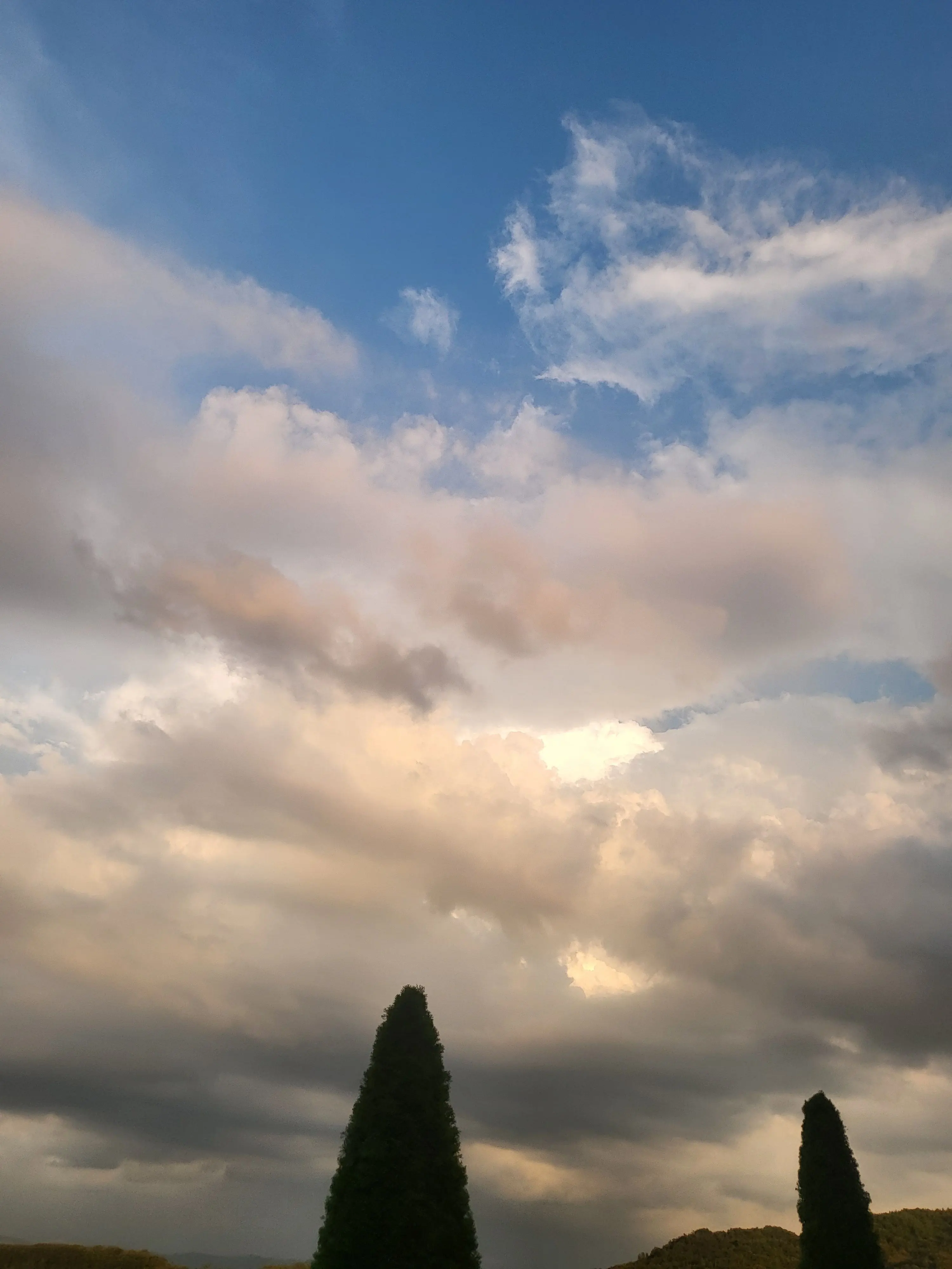 MaleLove7749의 벨키 생일에 아픈 유기사 (여우 있)