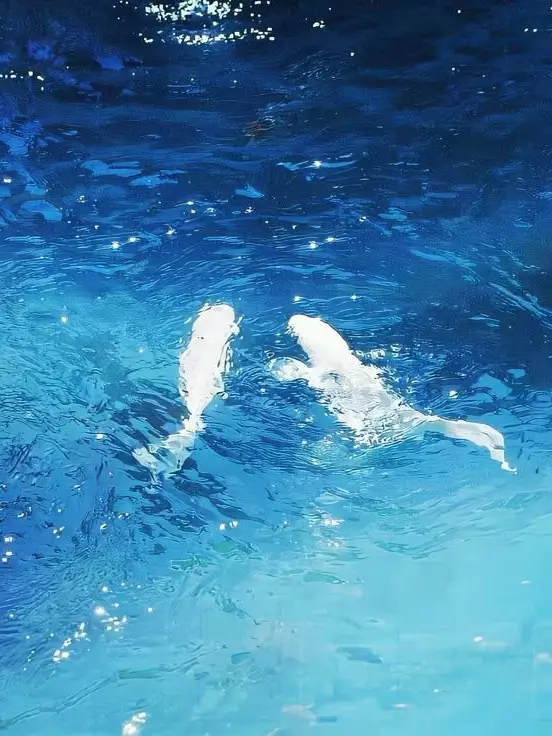 me_1.o의 追憶