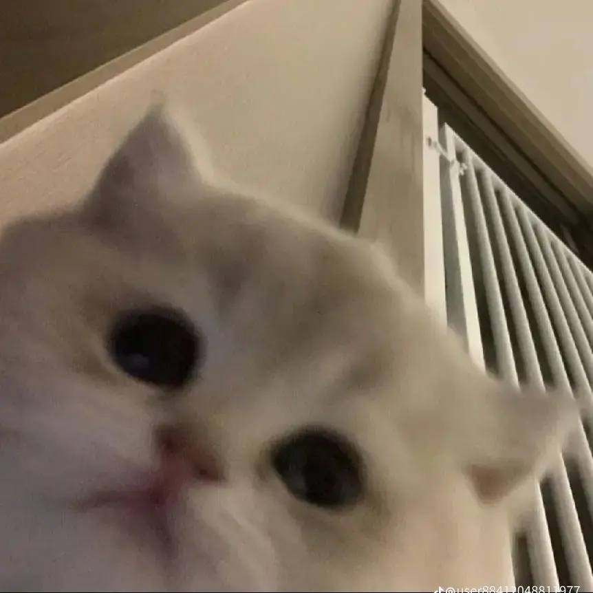 LushCloud4242의 °.*•김민승•*.°