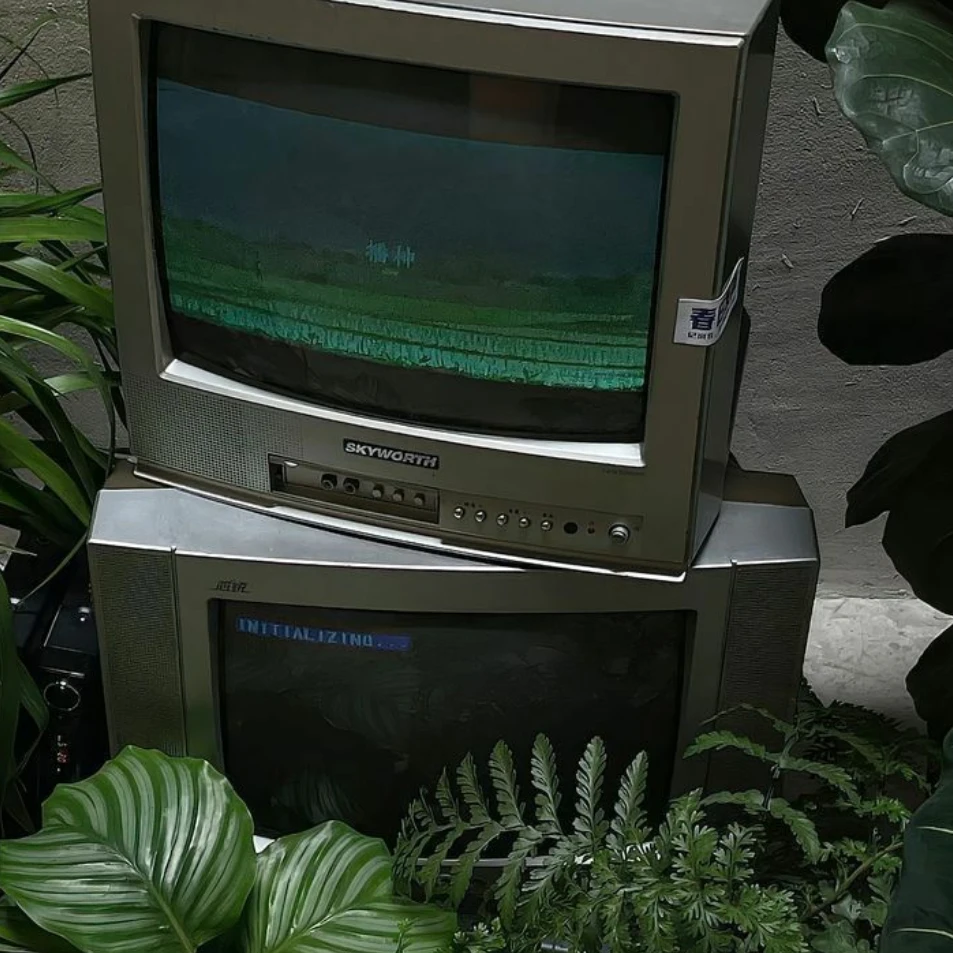 정공룡