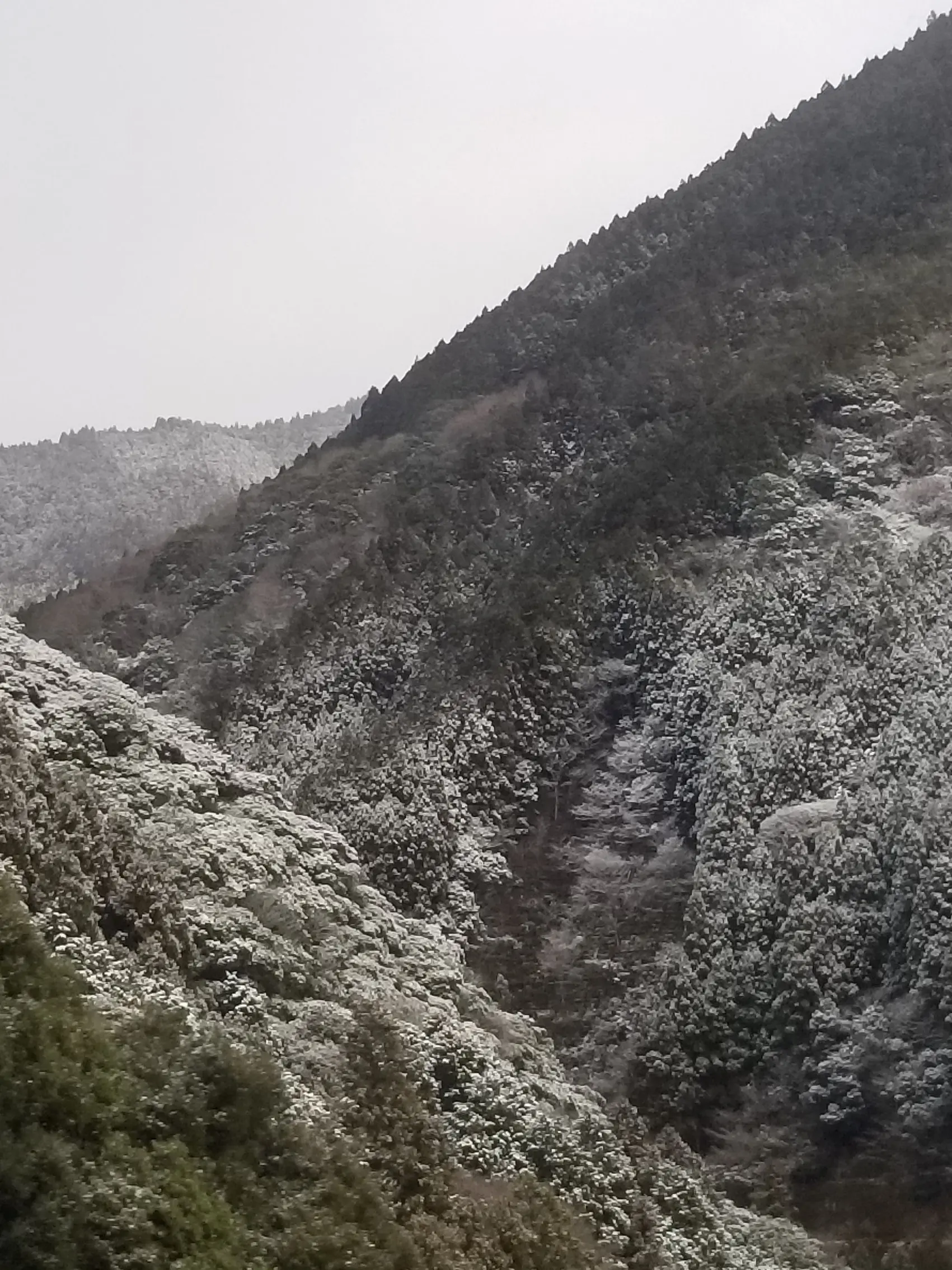 NeatFence7125의 取り替えられた子供だけど質問ある？