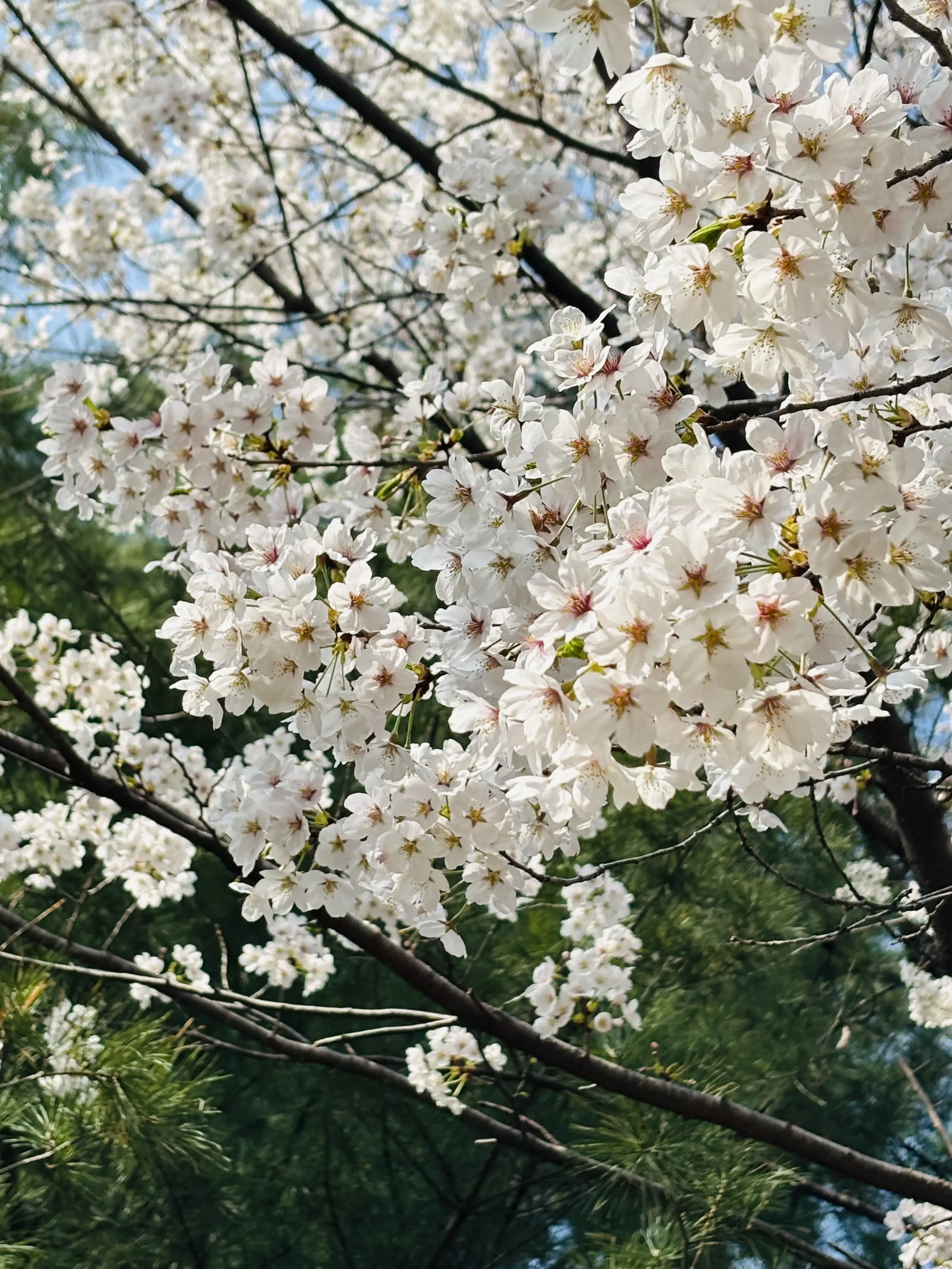 onedoorlover의 싸이코드 유치원