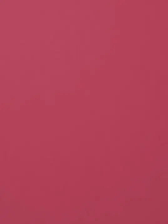 FuzzyFiles0267의 生徒会長に恋しました　、　！？