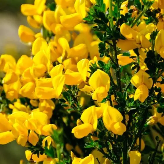 sorrow_0124의 "미안해.그리고 사랑해."