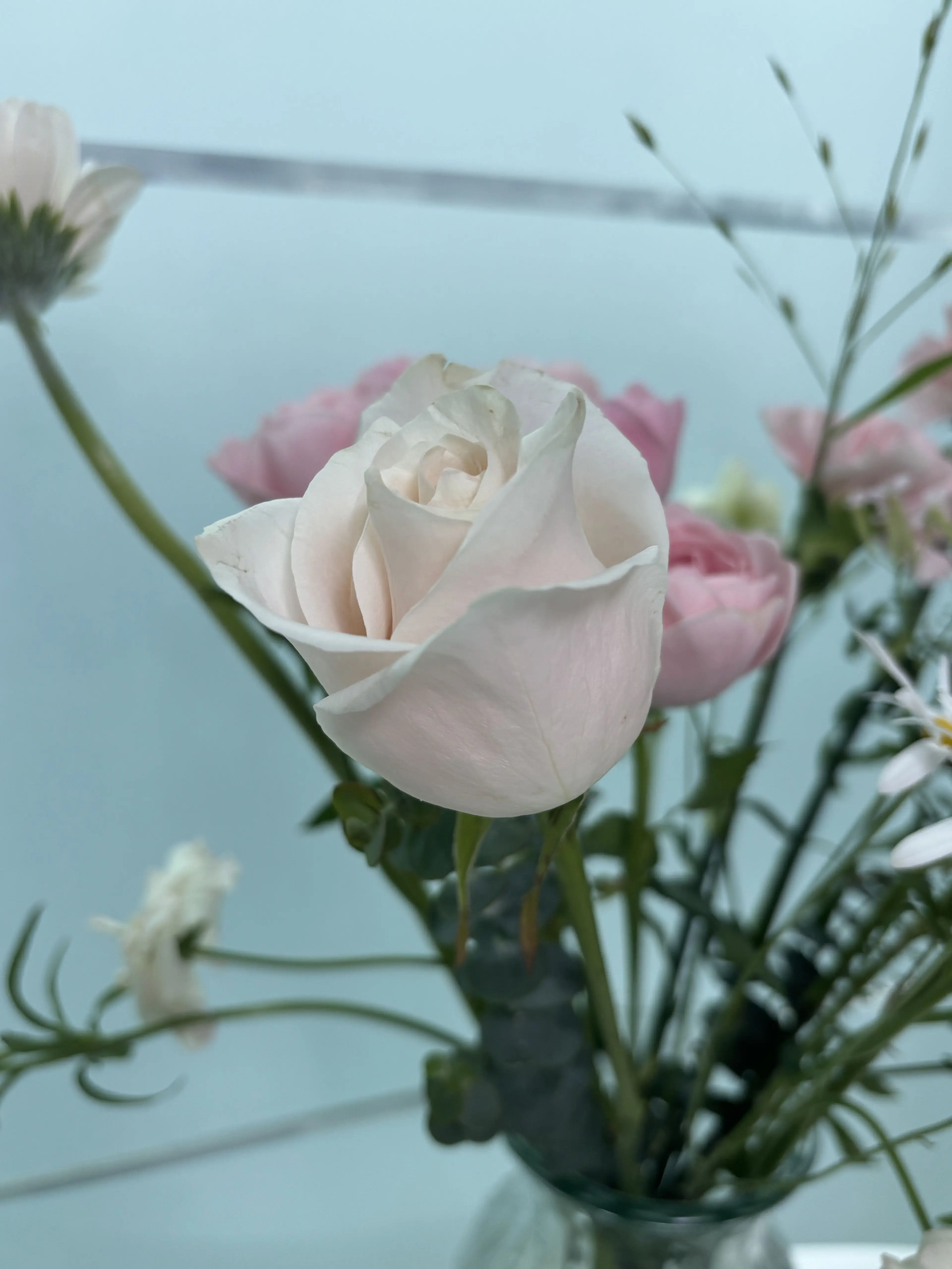 Moka-chan의 [19] 달콤한 독