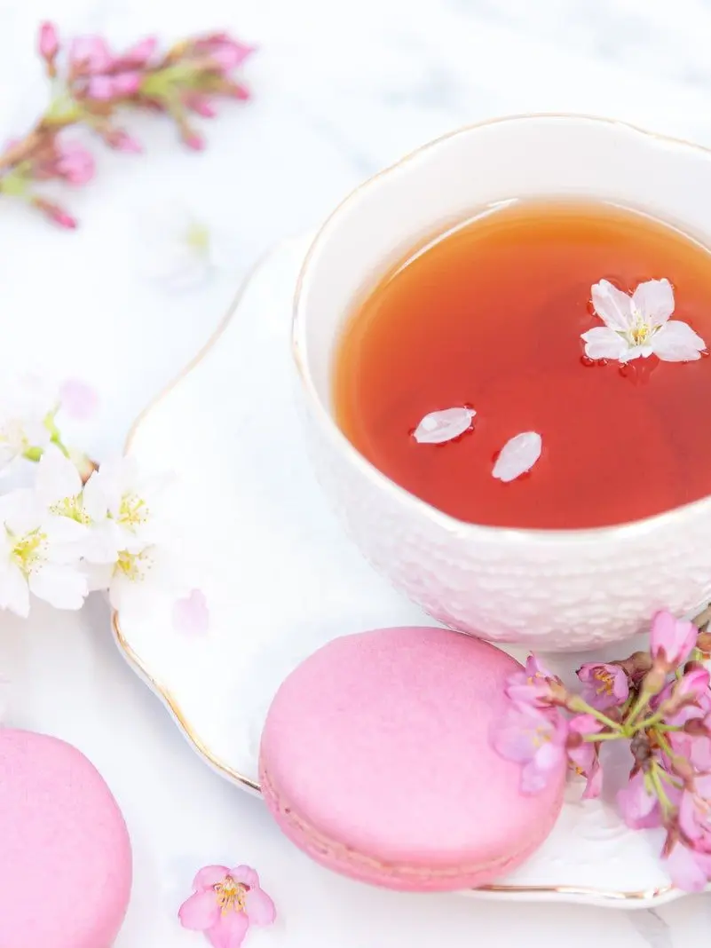 MightyBand5740의 大学パロ(︎︎☁と❤️‍🩹)