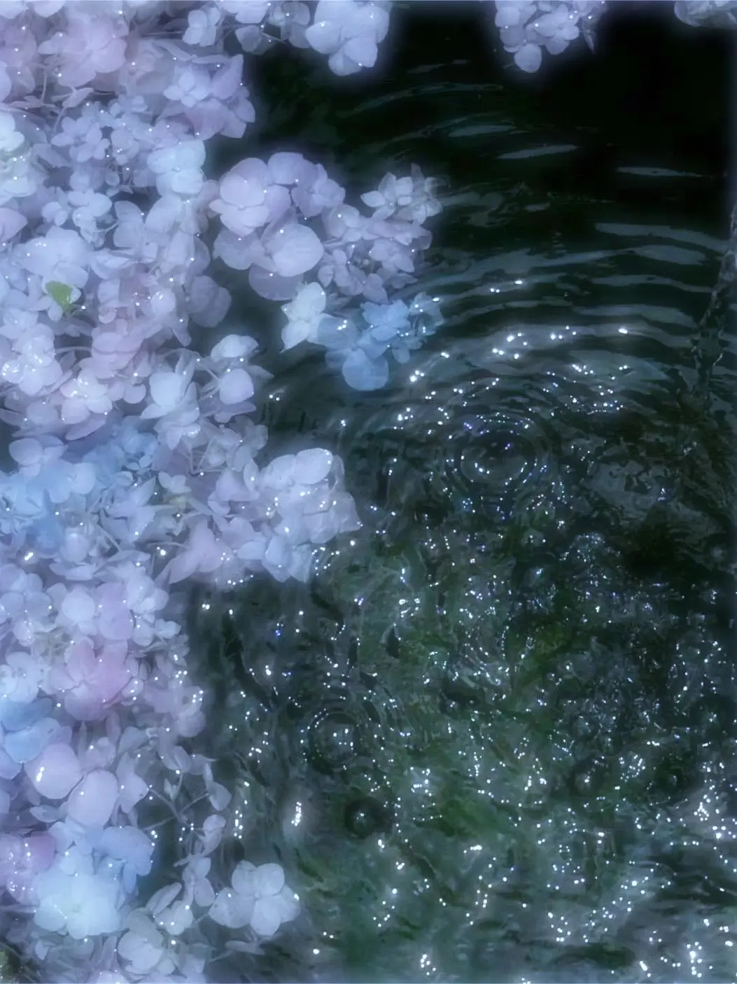 SoreBolt0821의 暗殺チームに虐められちゃいました