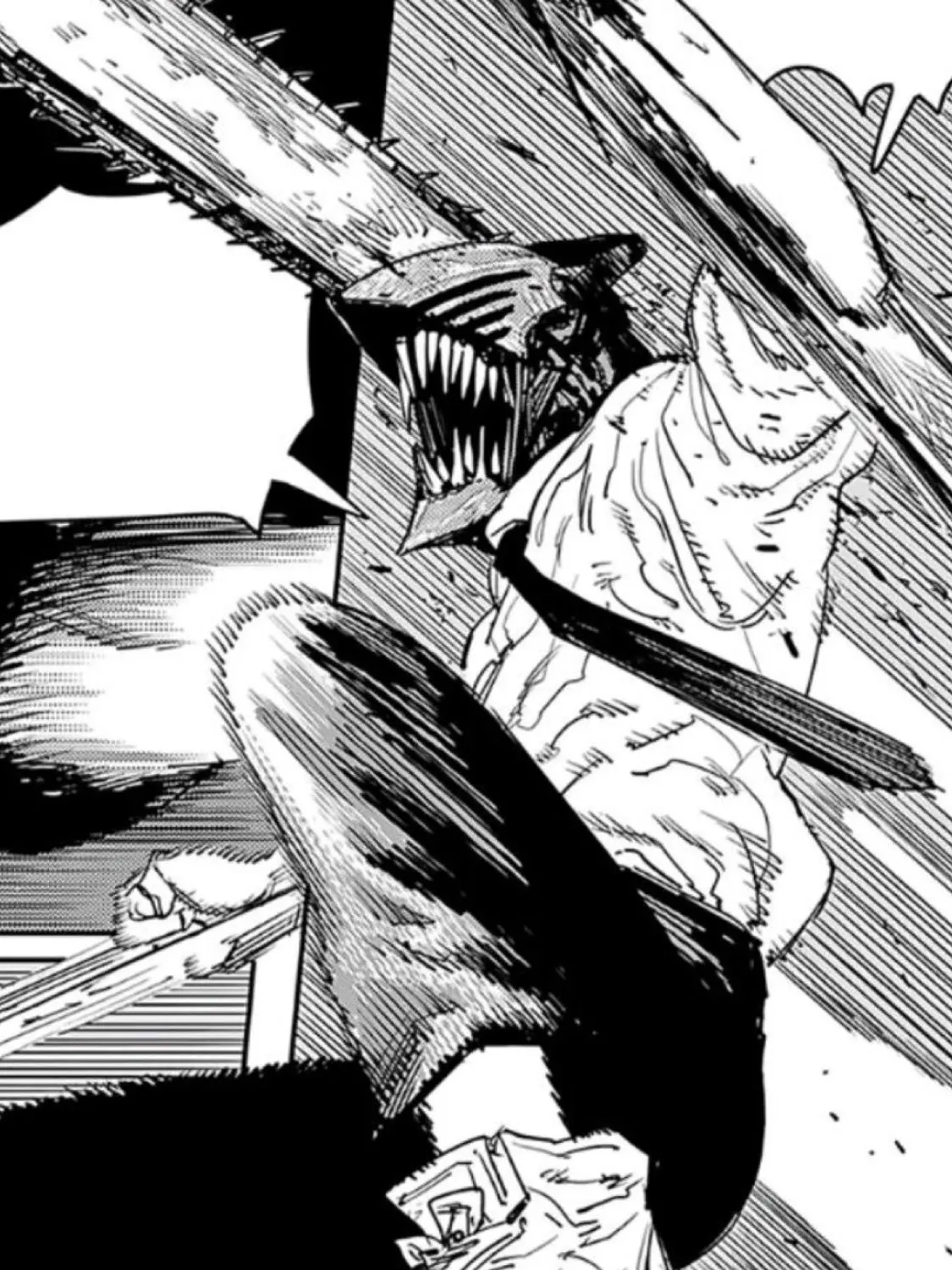 DirectDingo5265의 Chainsaw Man & Fox