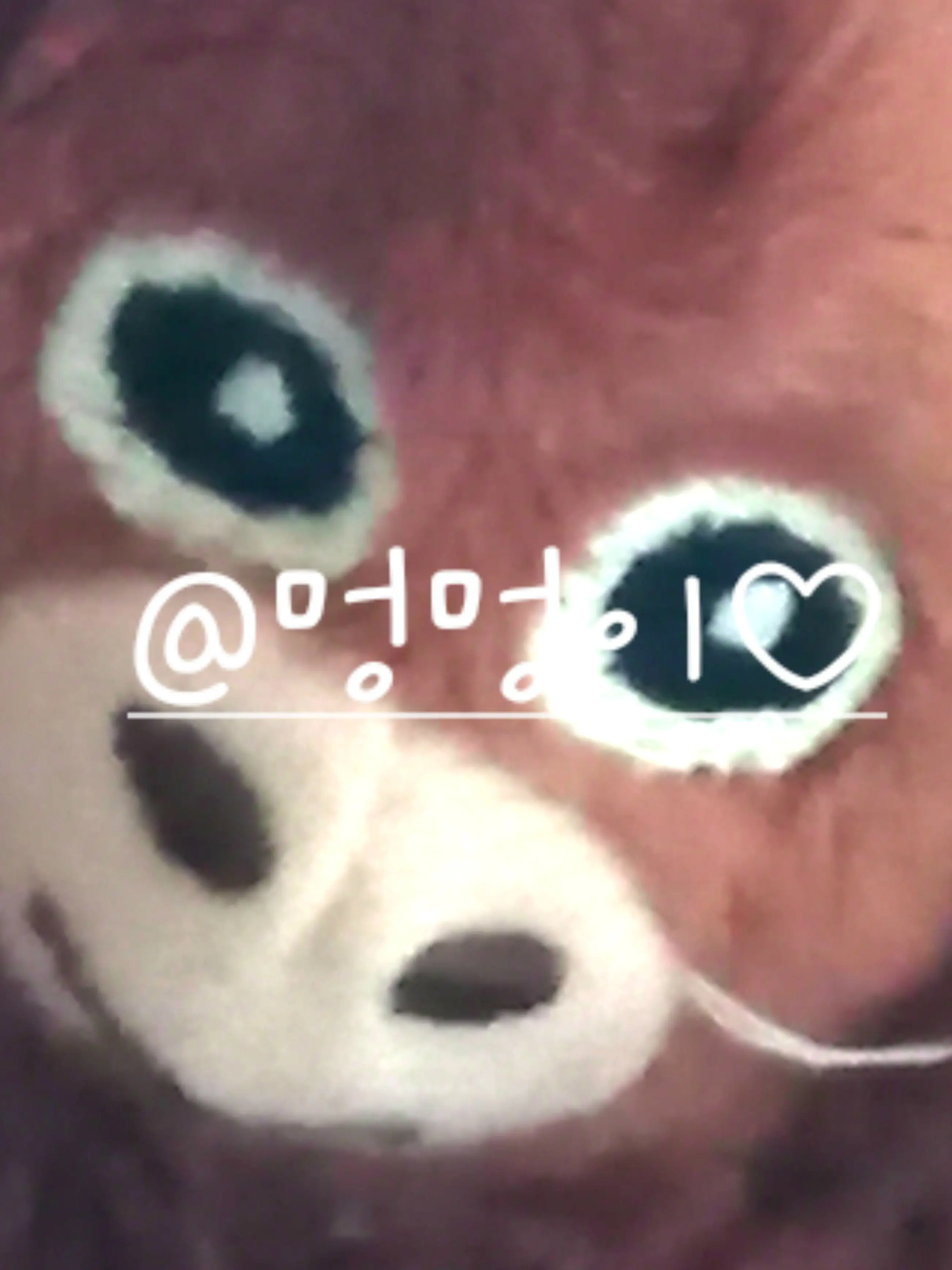 6715의 {{너의 그 자유}}