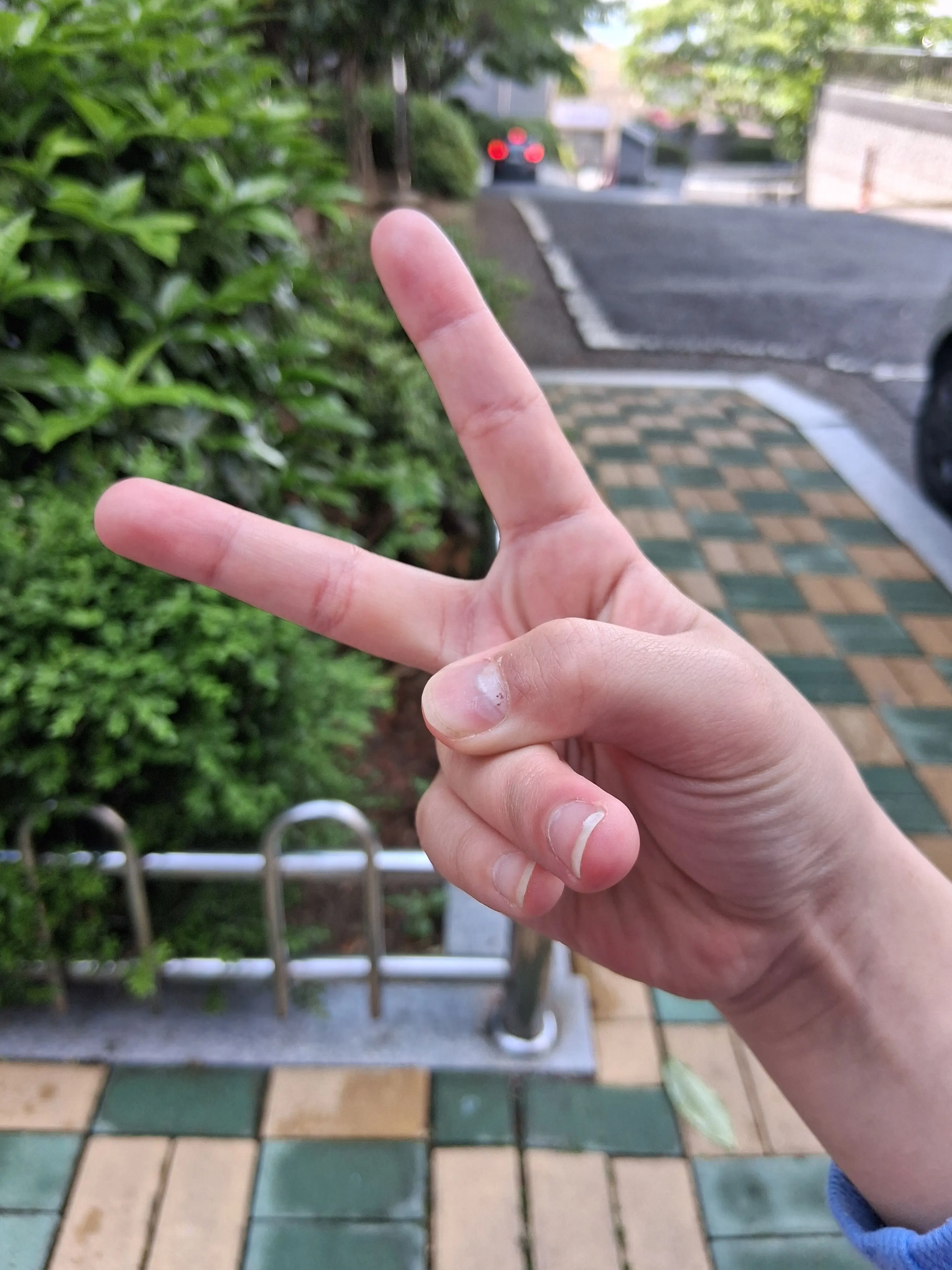 ChunkyGecko8148의 고프 유저가 살인마!