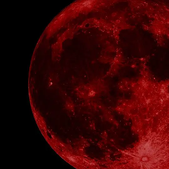 Satansseggi2의 Vampire.