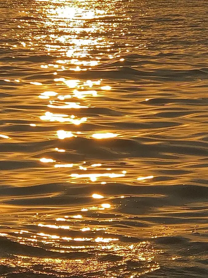 _sianx의 Rikan Myan