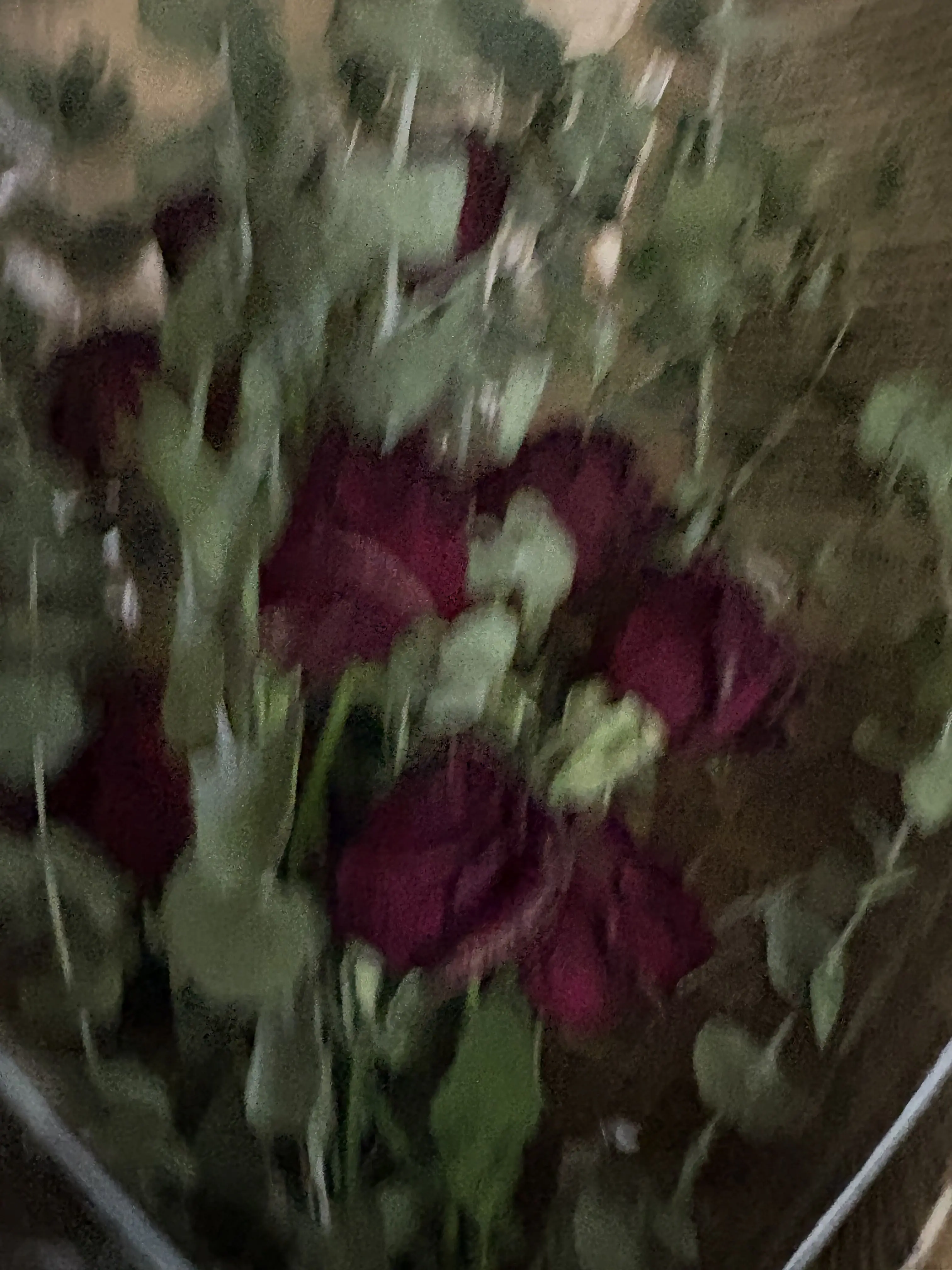 I_hate_English의 이호성