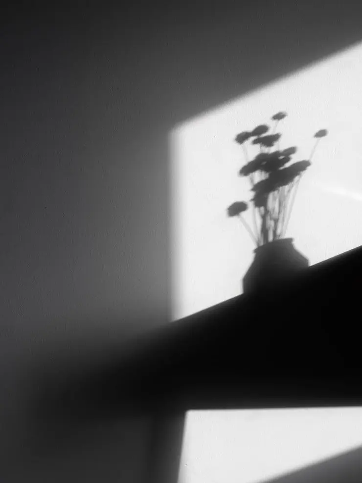 general_public의 시미베