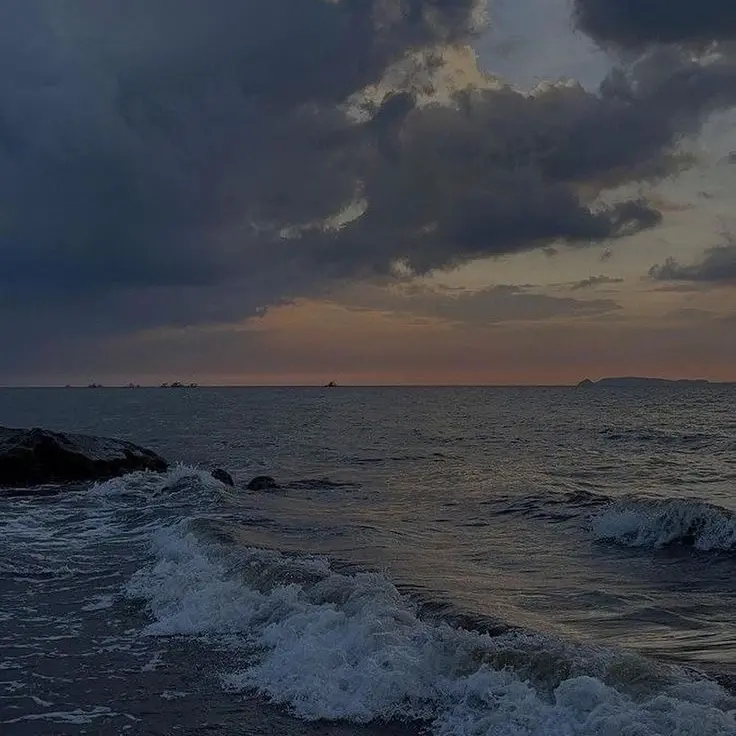 tu_yswa의 .
