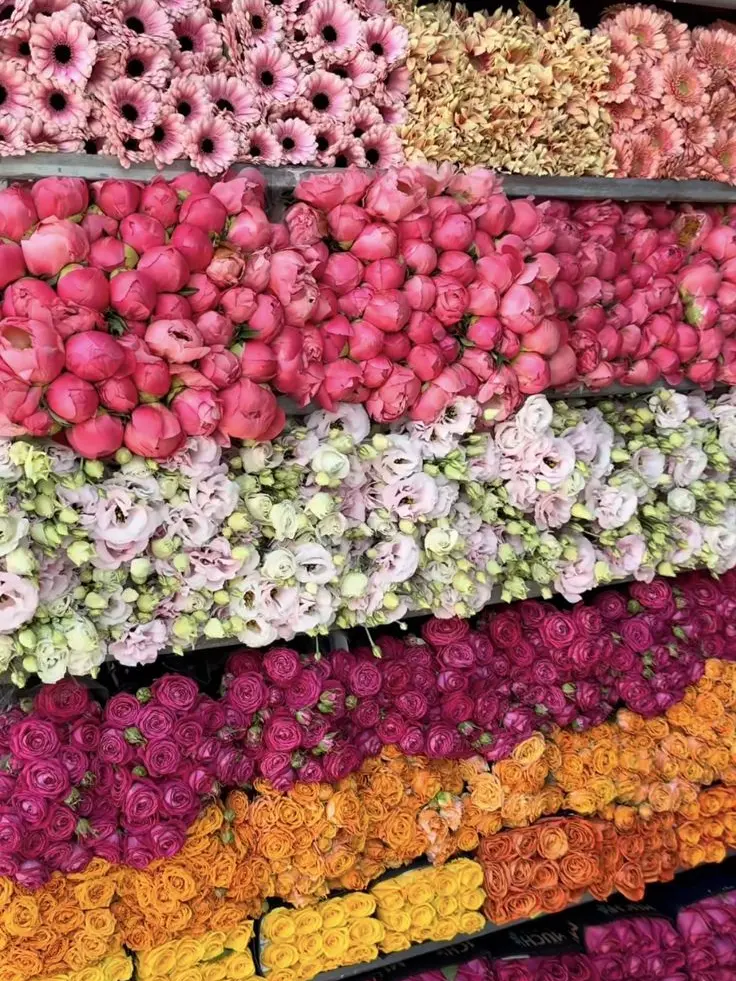 STN의 MOVE SILENTLY