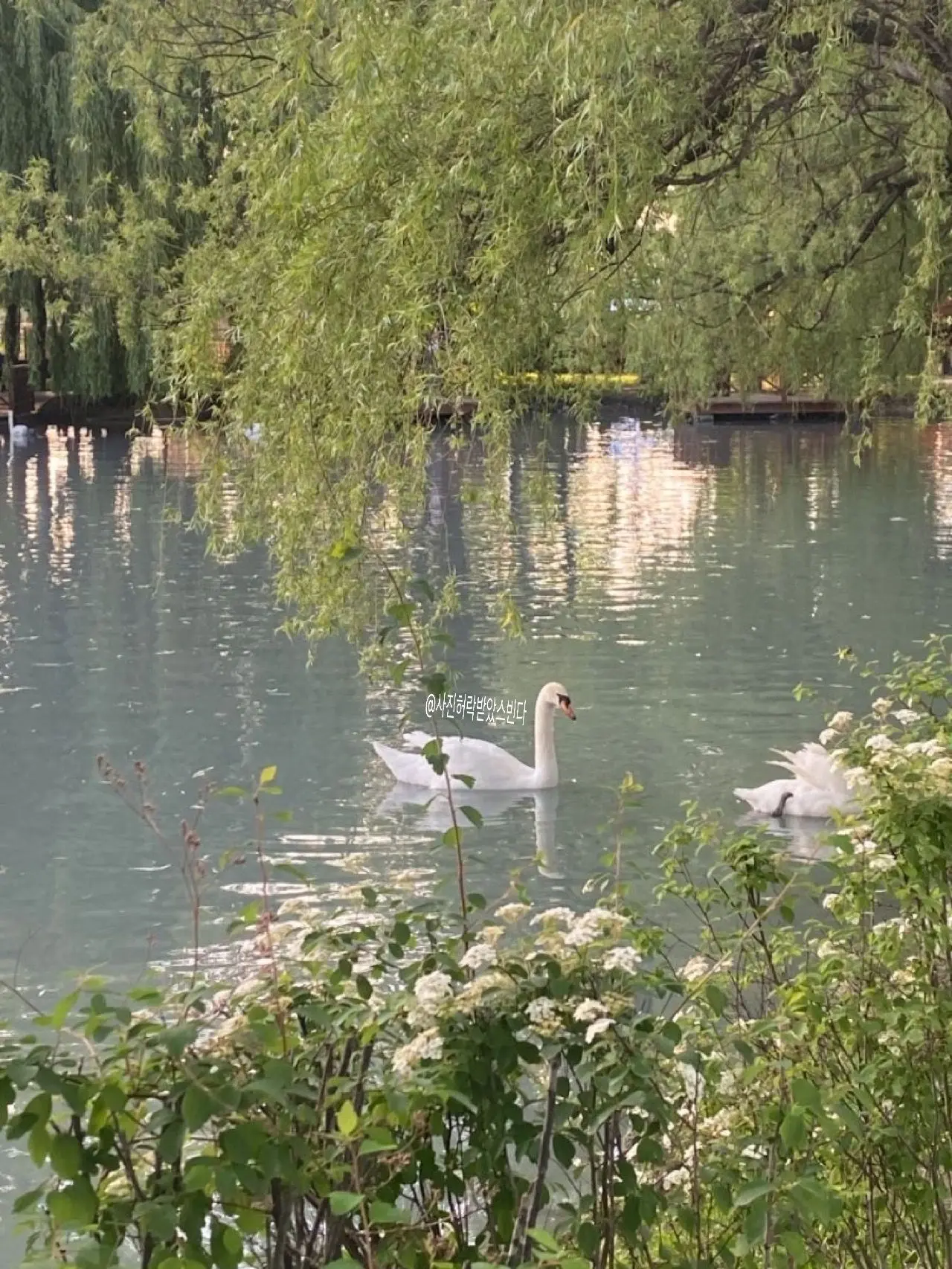 LIN2233의 끼부리지마❤️‍🩹