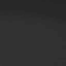 shjdxjhyy의 최진우