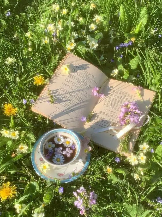 Potatoes_of_May의 정공룡