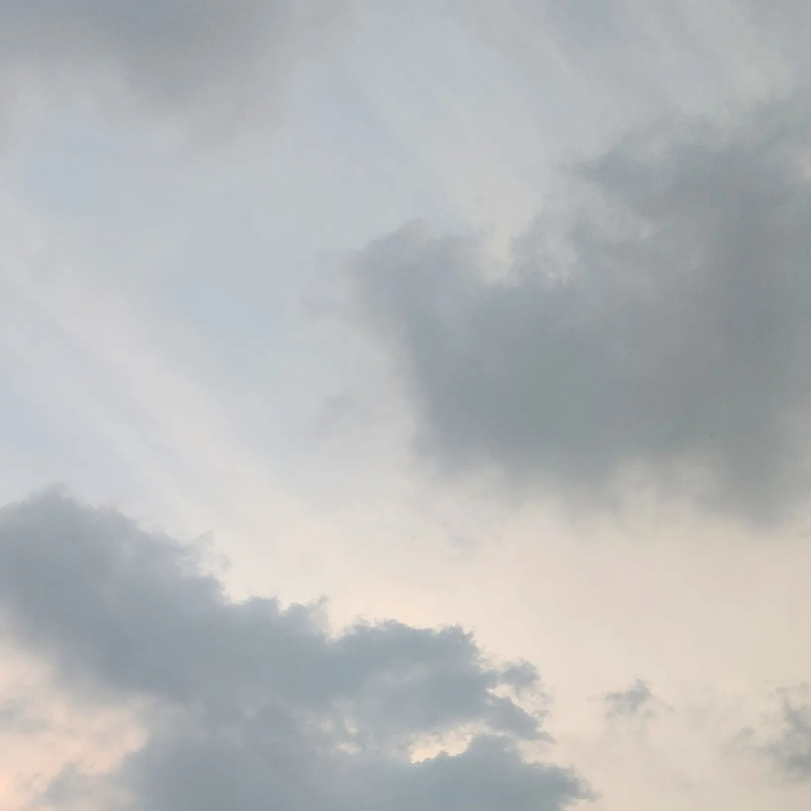 happy_11111117의 자유