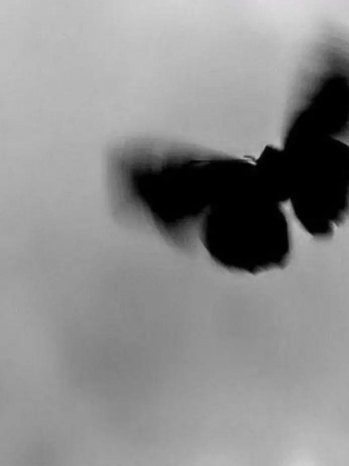 Eunding의 날 고용한 도련님