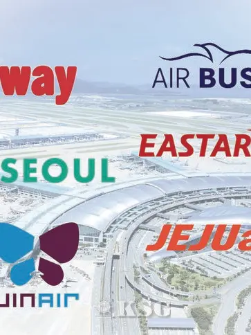 Meow_Woof의 Domestic Airlines