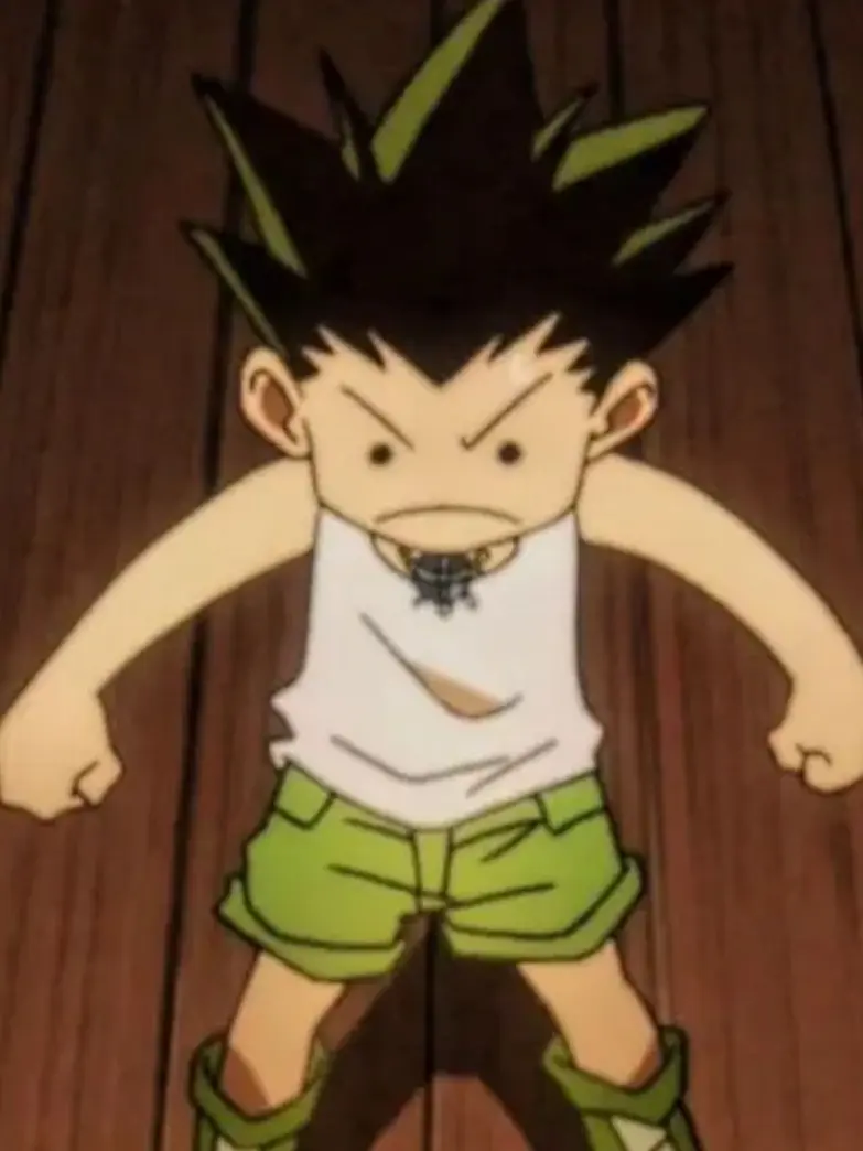 RemoteDate6166의 헌터x헌터