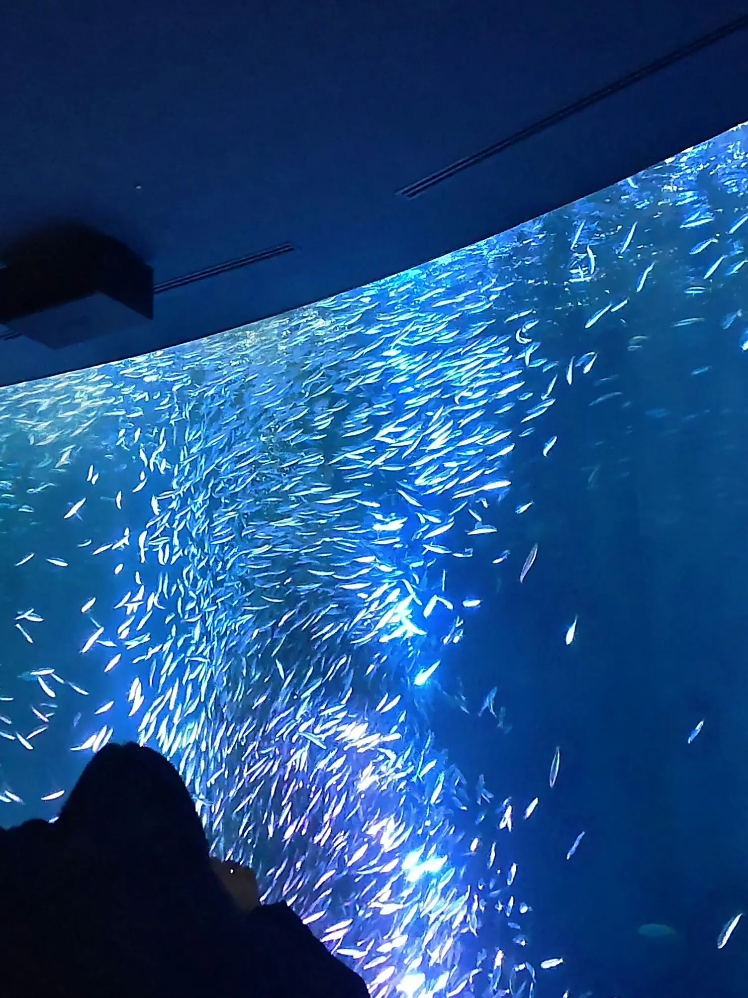 SilverSpool4939의 さて、氷河期が現代に来た>:）