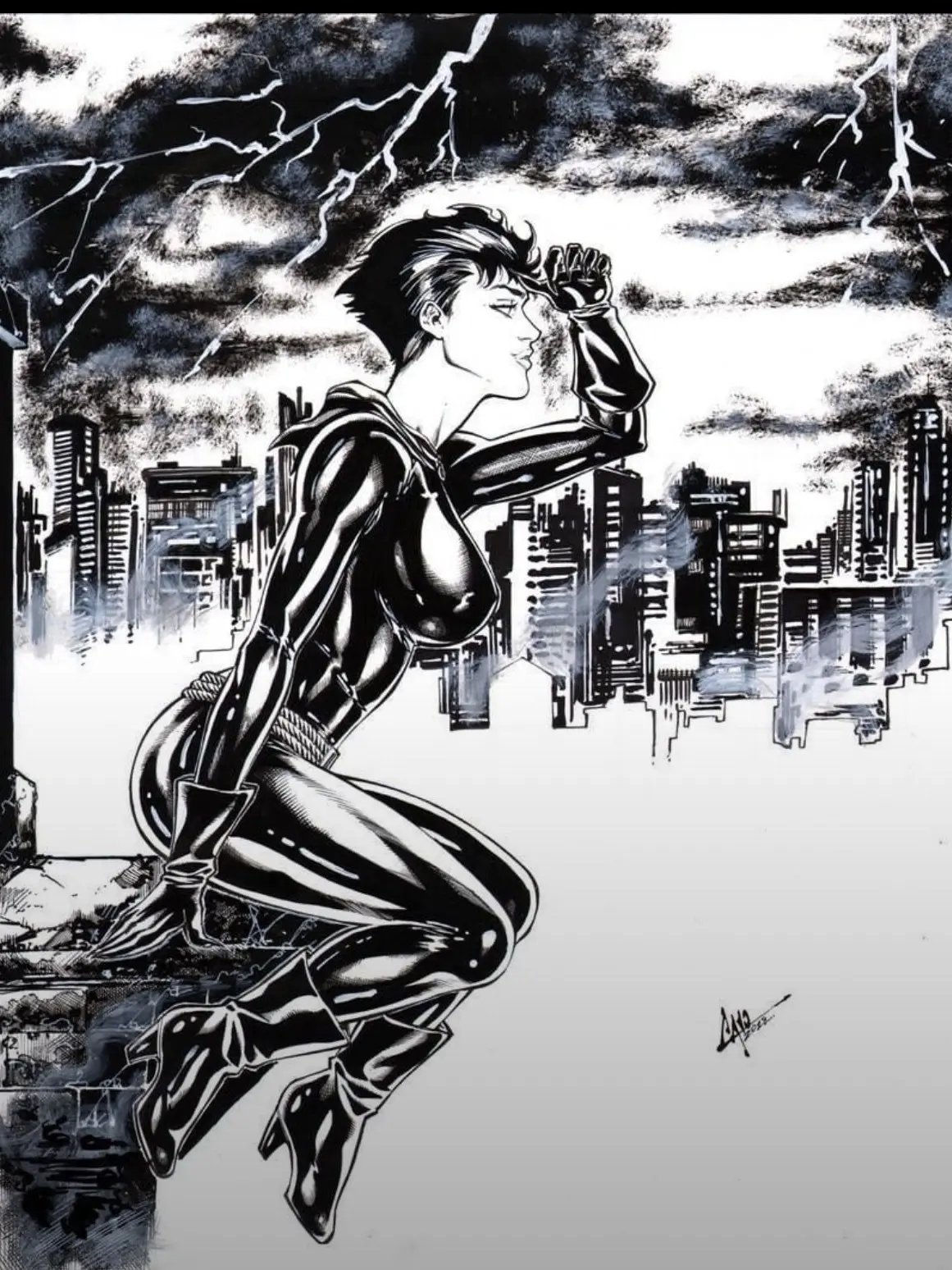 BentWell1208의 Selina Kyle | Catwomen