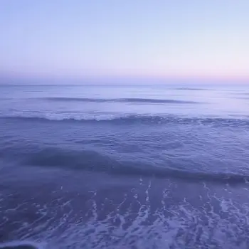 FierceTorch8062의 お酒対決！！