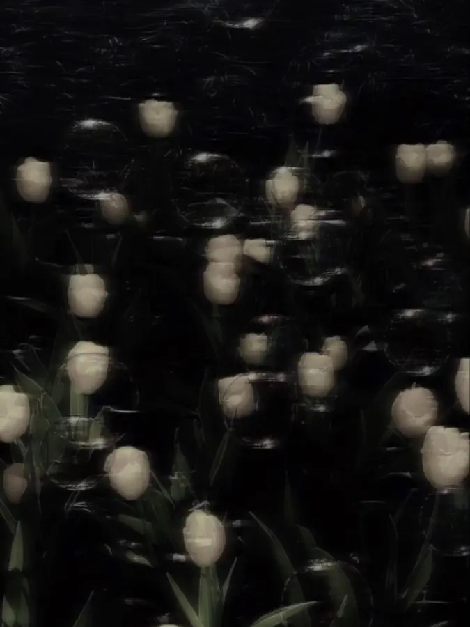 WoodyDisk9312의 박종건