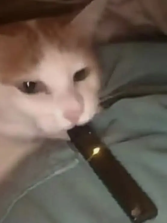 GlassJuicy9400의 Always Second Best