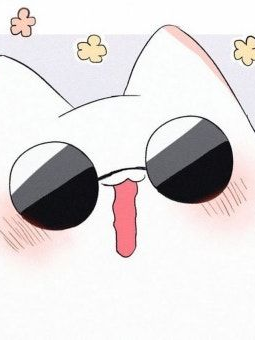 길냥이 네마리 대표 이미지
