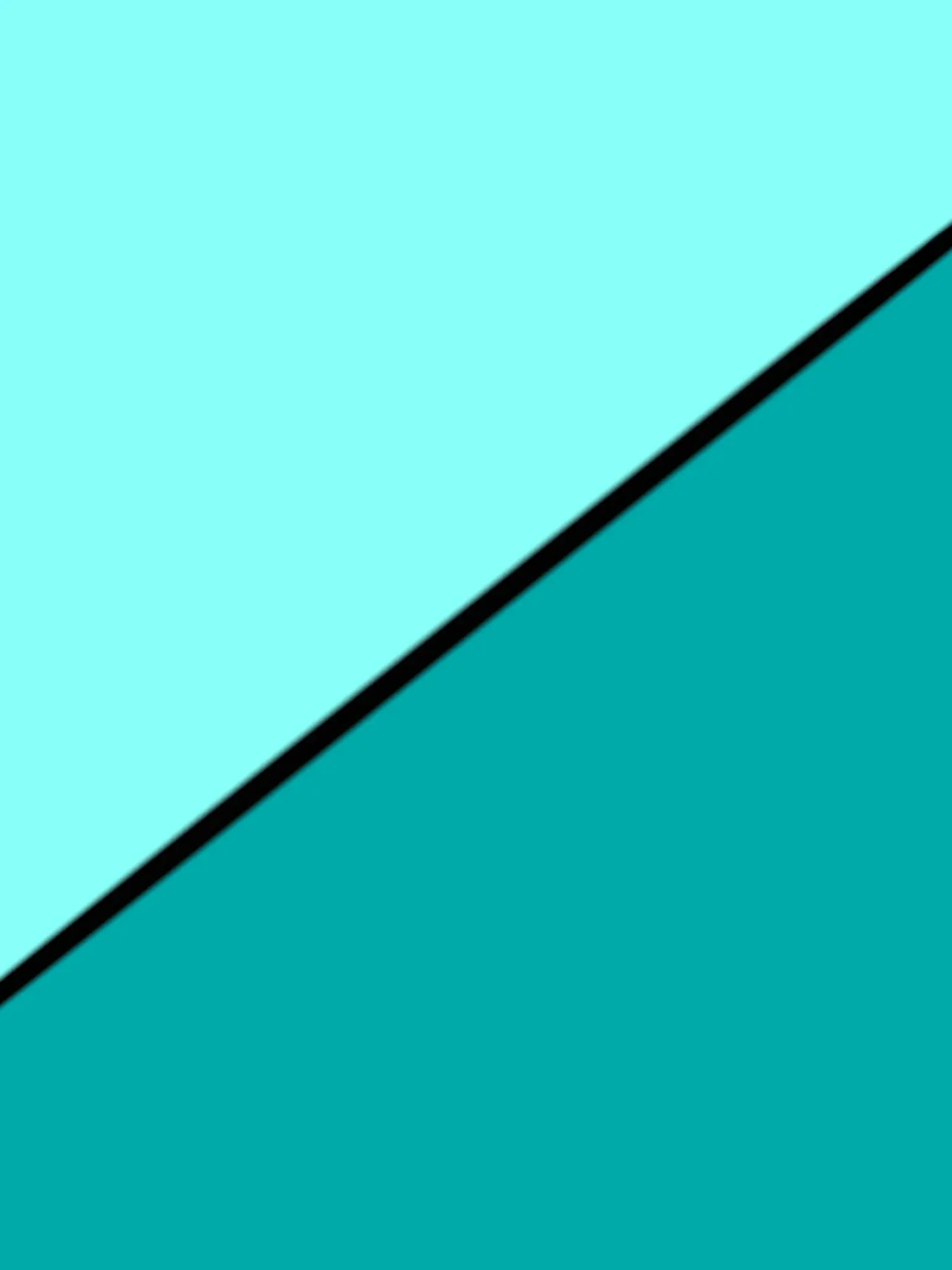 Sakuneko_Moti의 鏡🪞 裏の世界