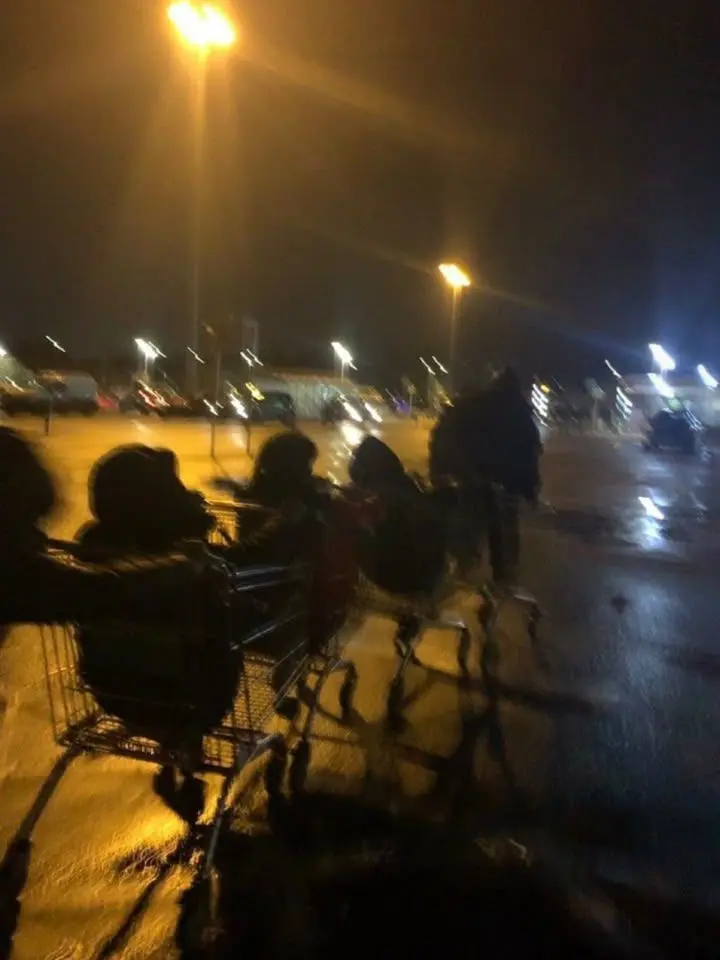 Kinichs_D3ndr0d4rling143의 Chaotic friend group