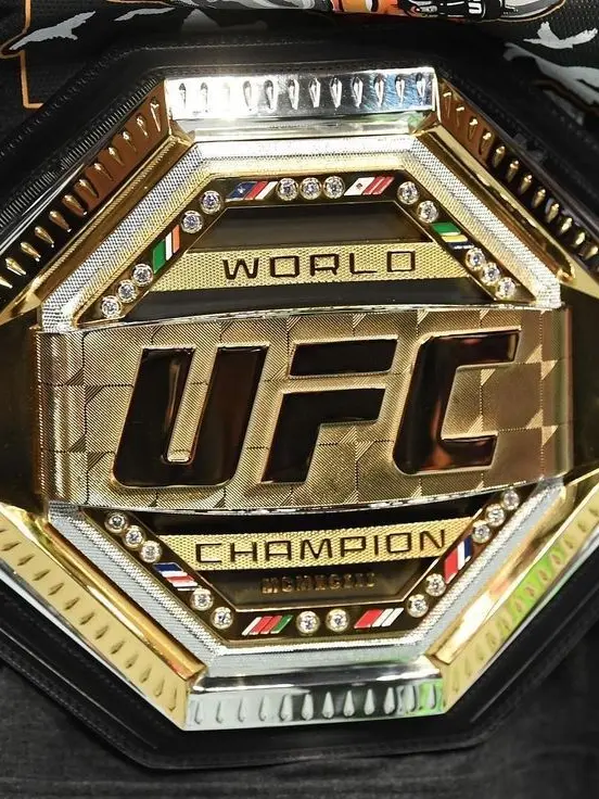 UpsetLily0816의 UFC