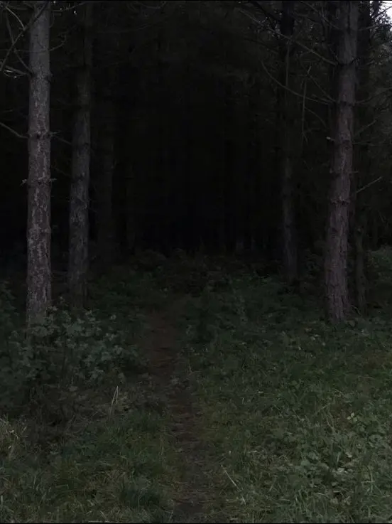 nagatoro_hayase의 Monster